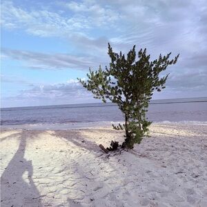 Meet your Posher, Ellie